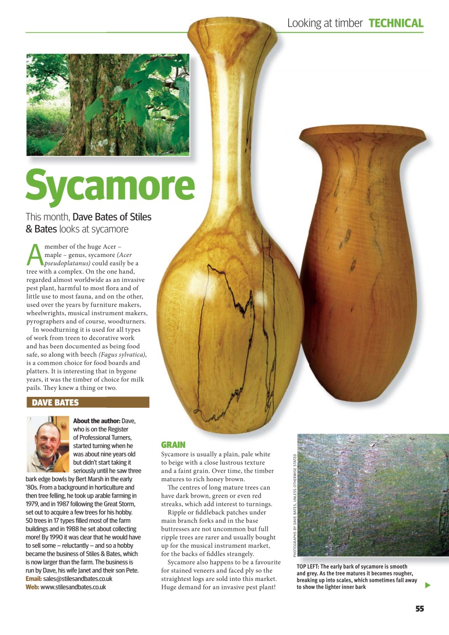 Woodturning Preview Pages