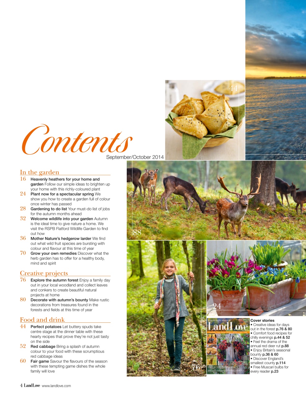 LandLove Magazine Preview Pages