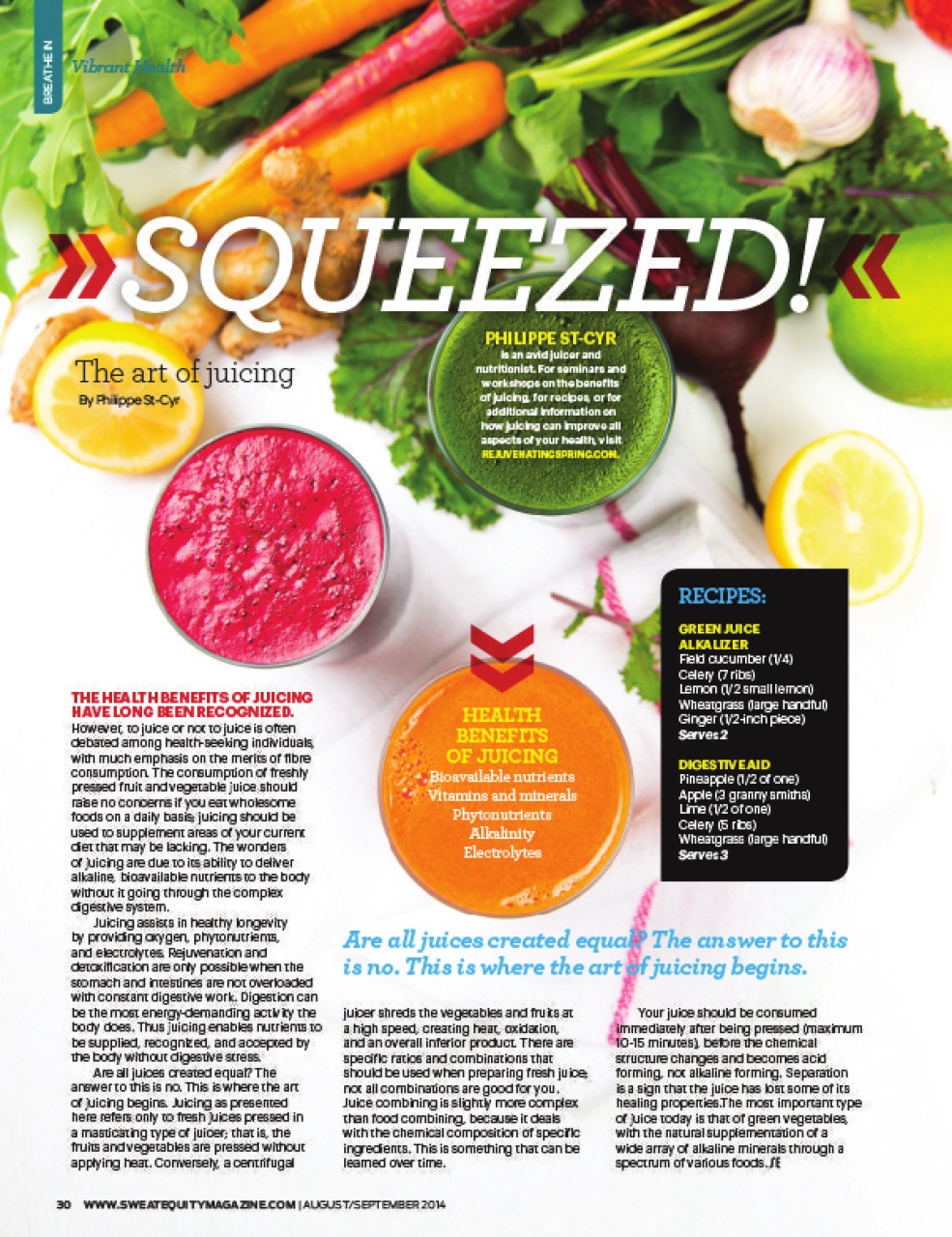 Sweat Equity Preview Pages