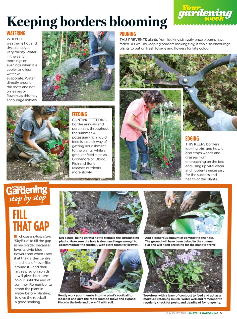 Amateur Gardening Preview Pages