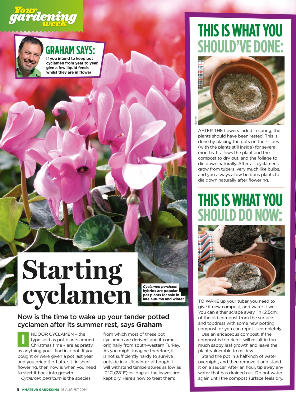Amateur Gardening Preview Pages