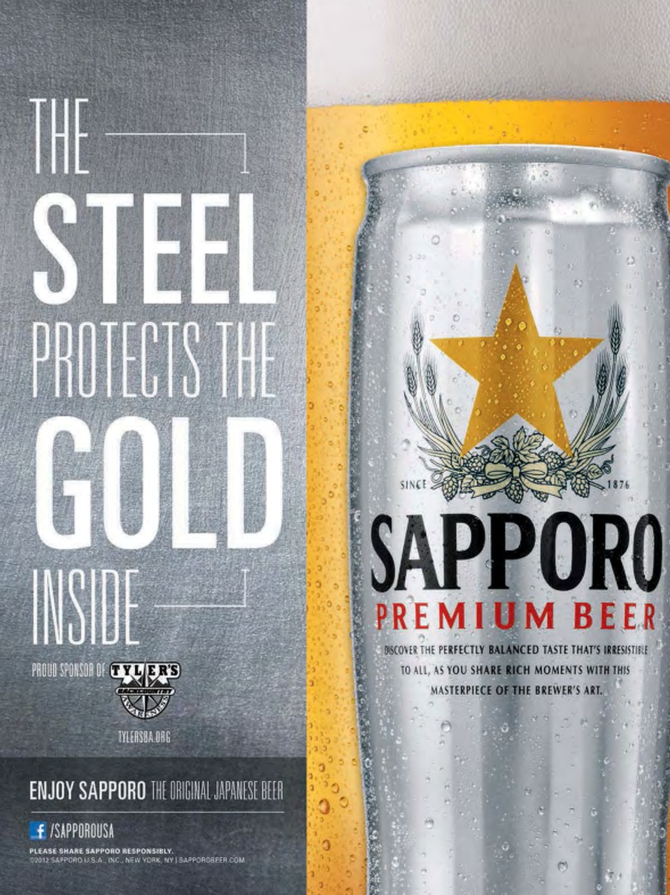 SnowGoer Preview Pages