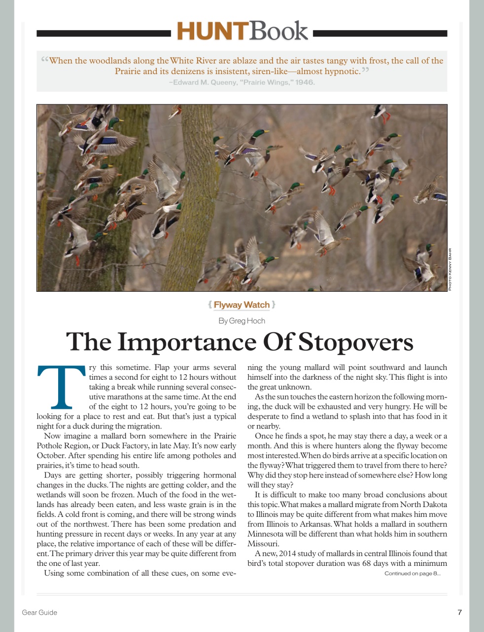 American Waterfowler Preview Pages