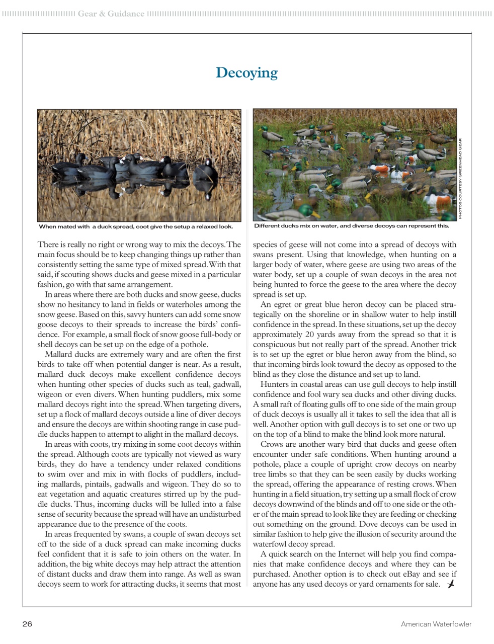 American Waterfowler Preview Pages