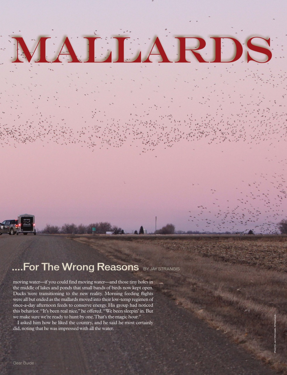 American Waterfowler Preview Pages