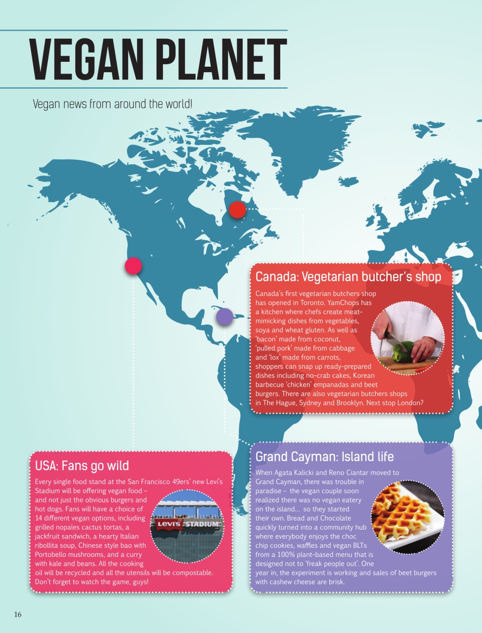 Vegan Life Preview Pages