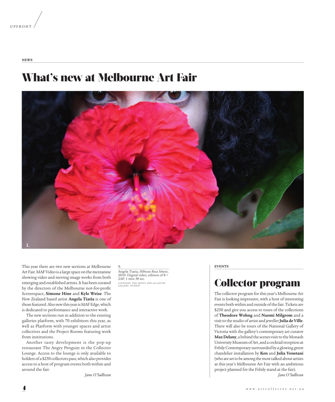 Art Collector Preview Pages