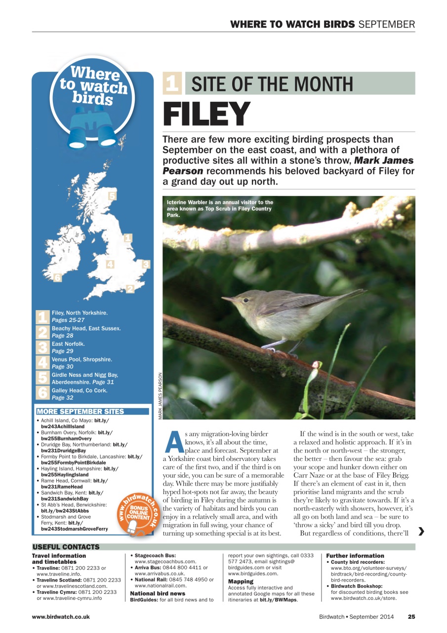 Birdwatch Magazine Preview Pages