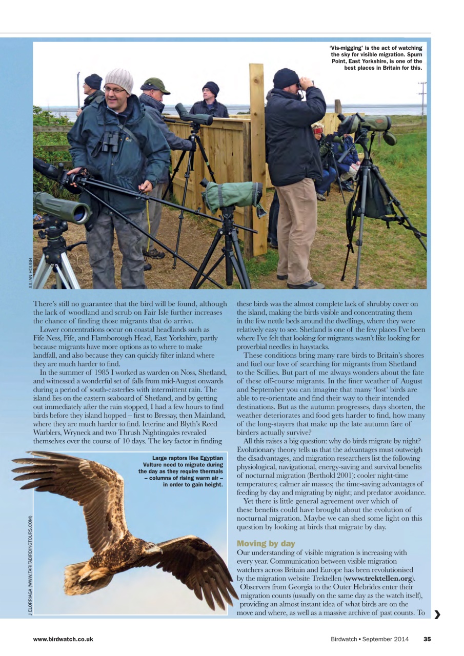 Birdwatch Magazine Preview Pages