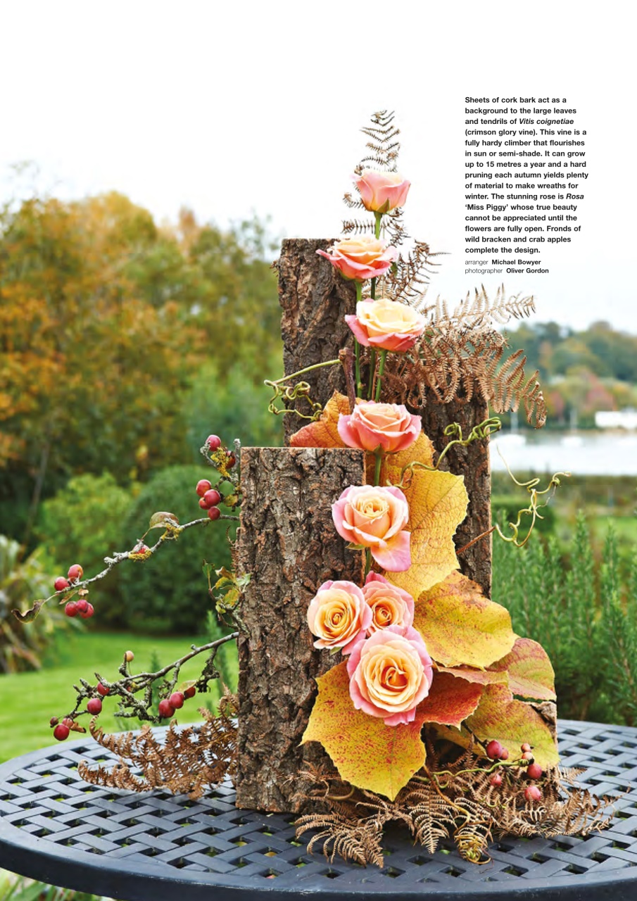 The Flower Arranger Preview Pages