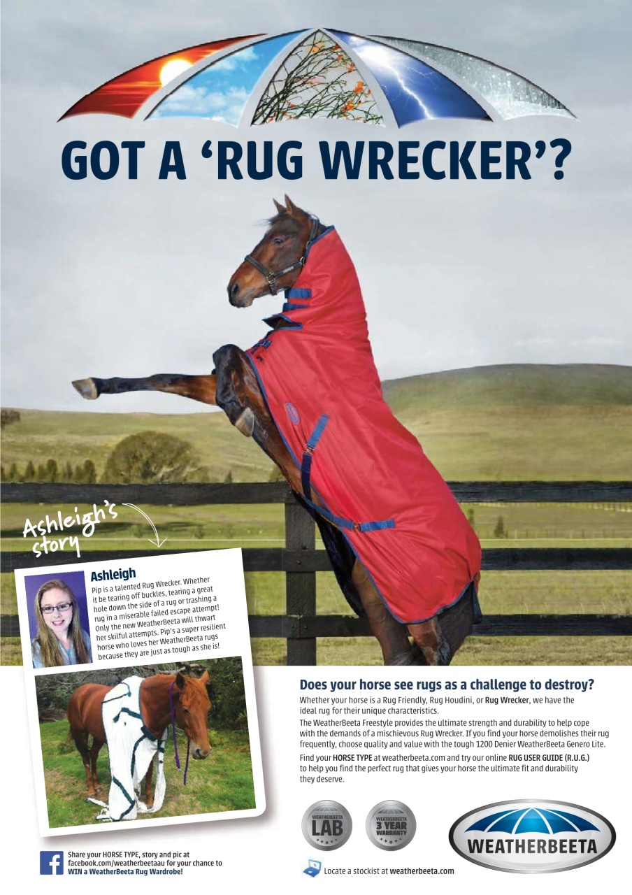 The Horse Magazine Preview Pages