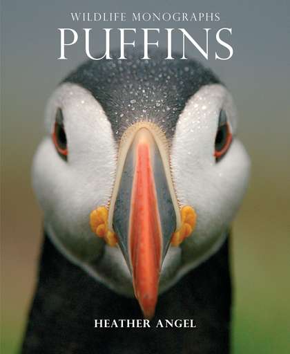 Wildlife Monographs issue 