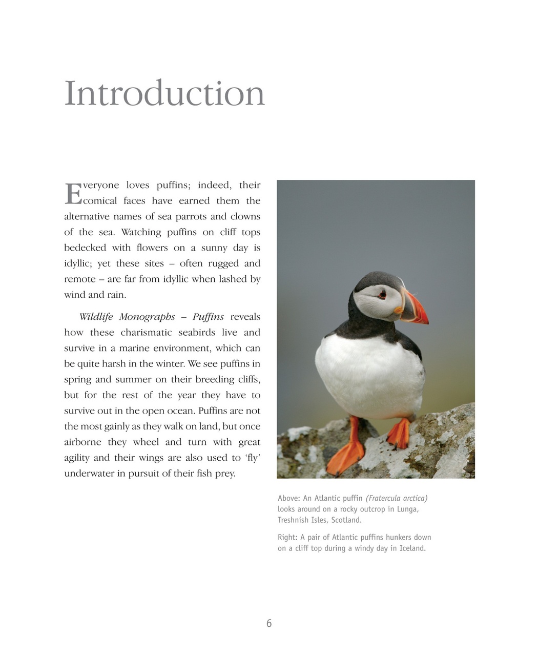 Wildlife Monographs Preview Pages