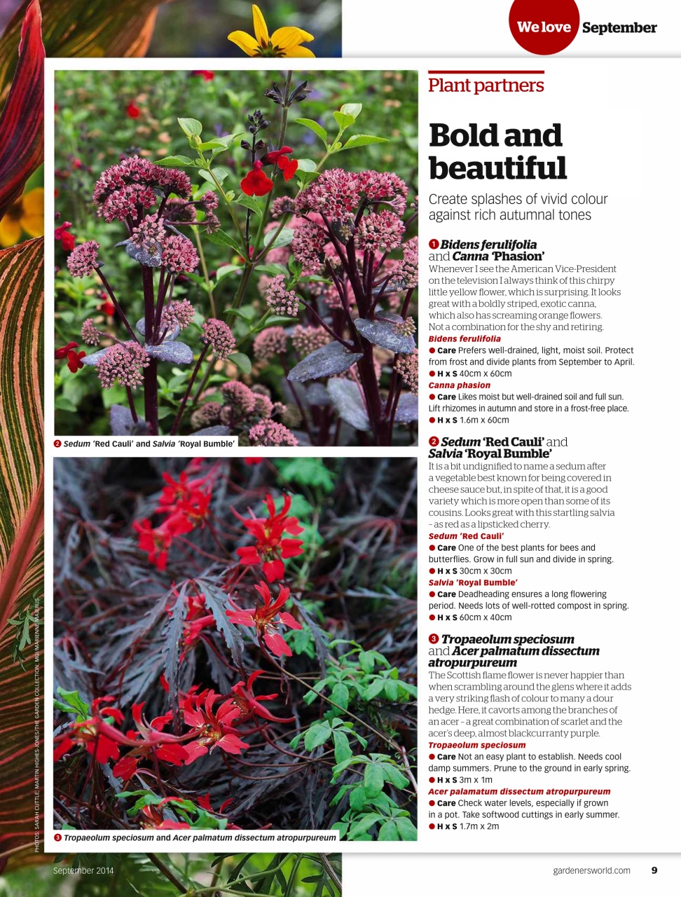 BBC Gardeners’ World Magazine Preview Pages
