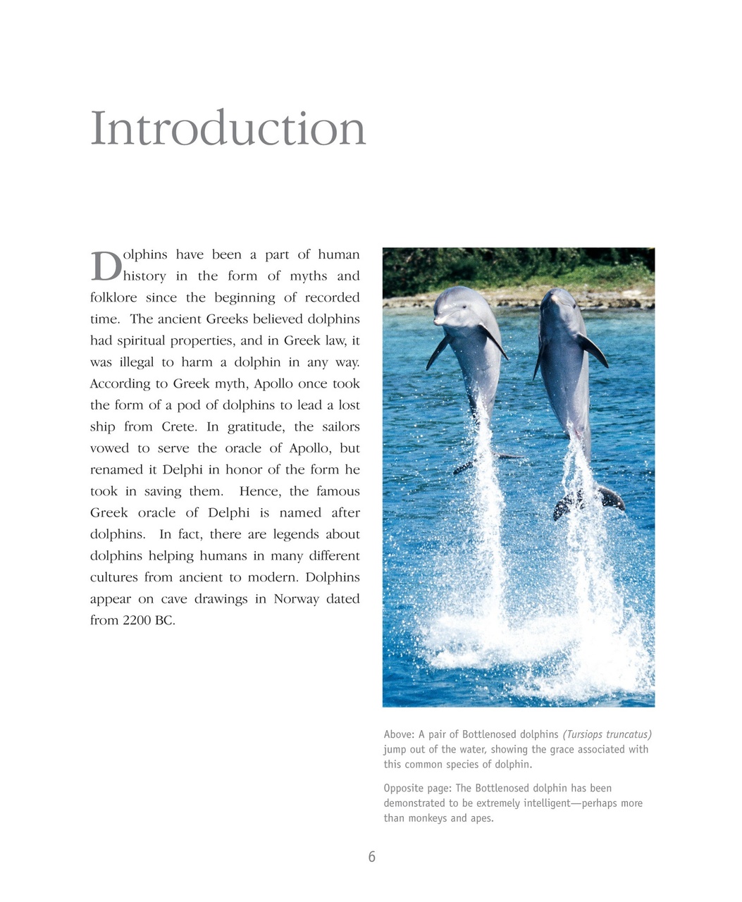 Wildlife Monographs Preview Pages