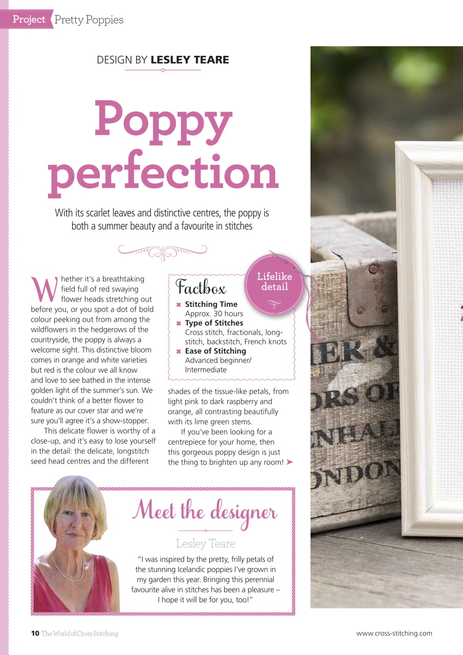 The World of Cross Stitching Preview Pages