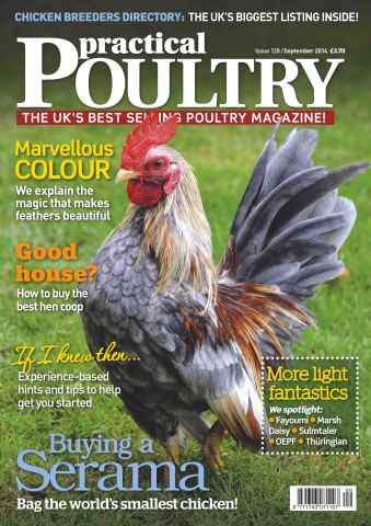 Practical Poultry issue No.128 Buying a Serama