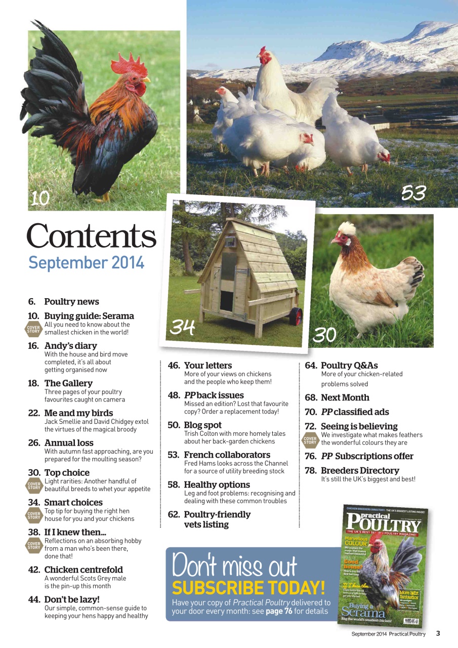 Practical Poultry Preview Pages