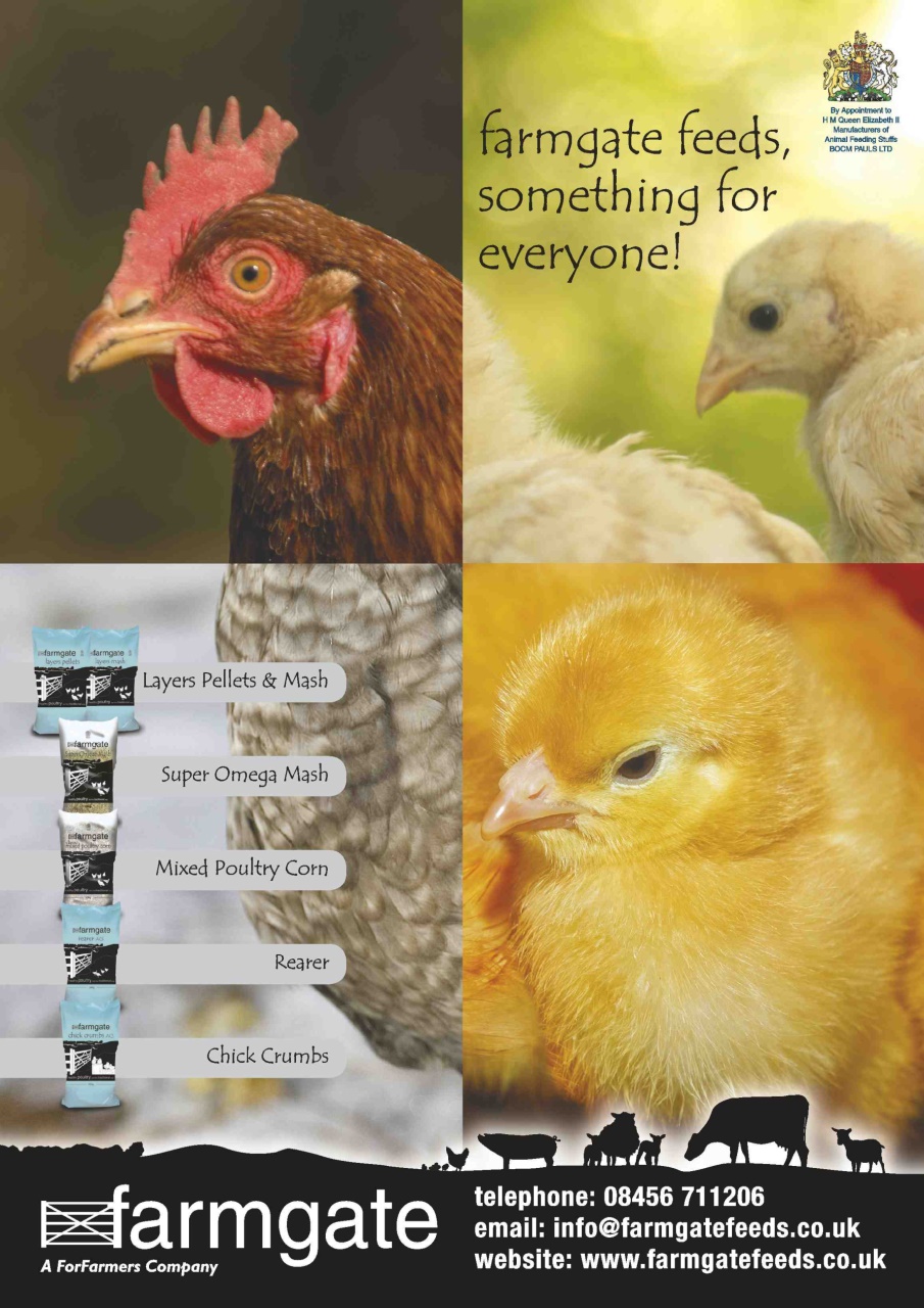 Practical Poultry Preview Pages