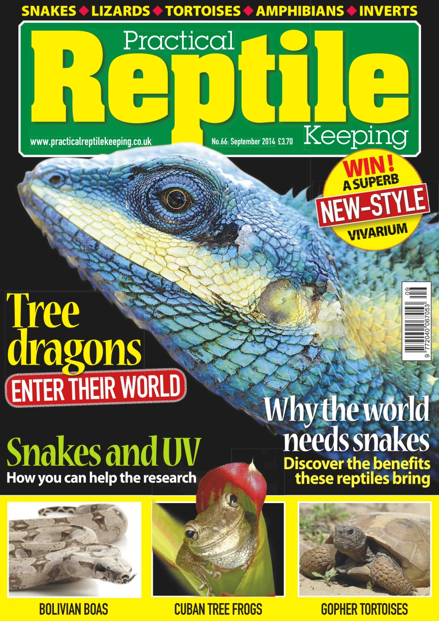 Practical Reptile Keeping Preview Pages