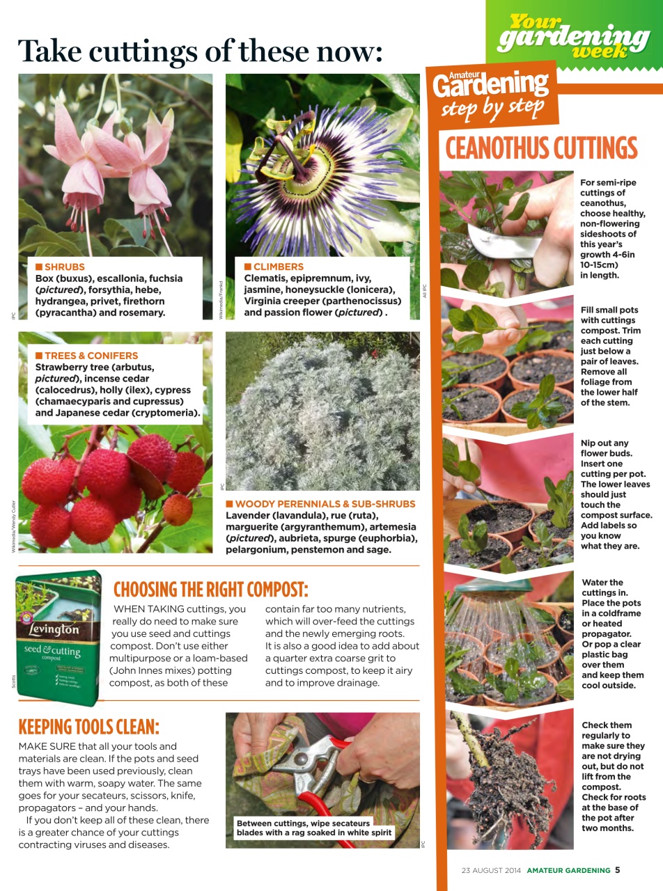 Amateur Gardening Preview Pages