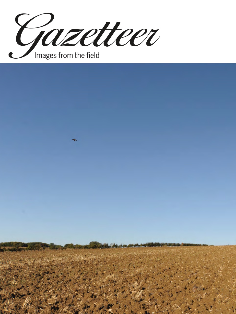 Shooting Gazette Preview Pages