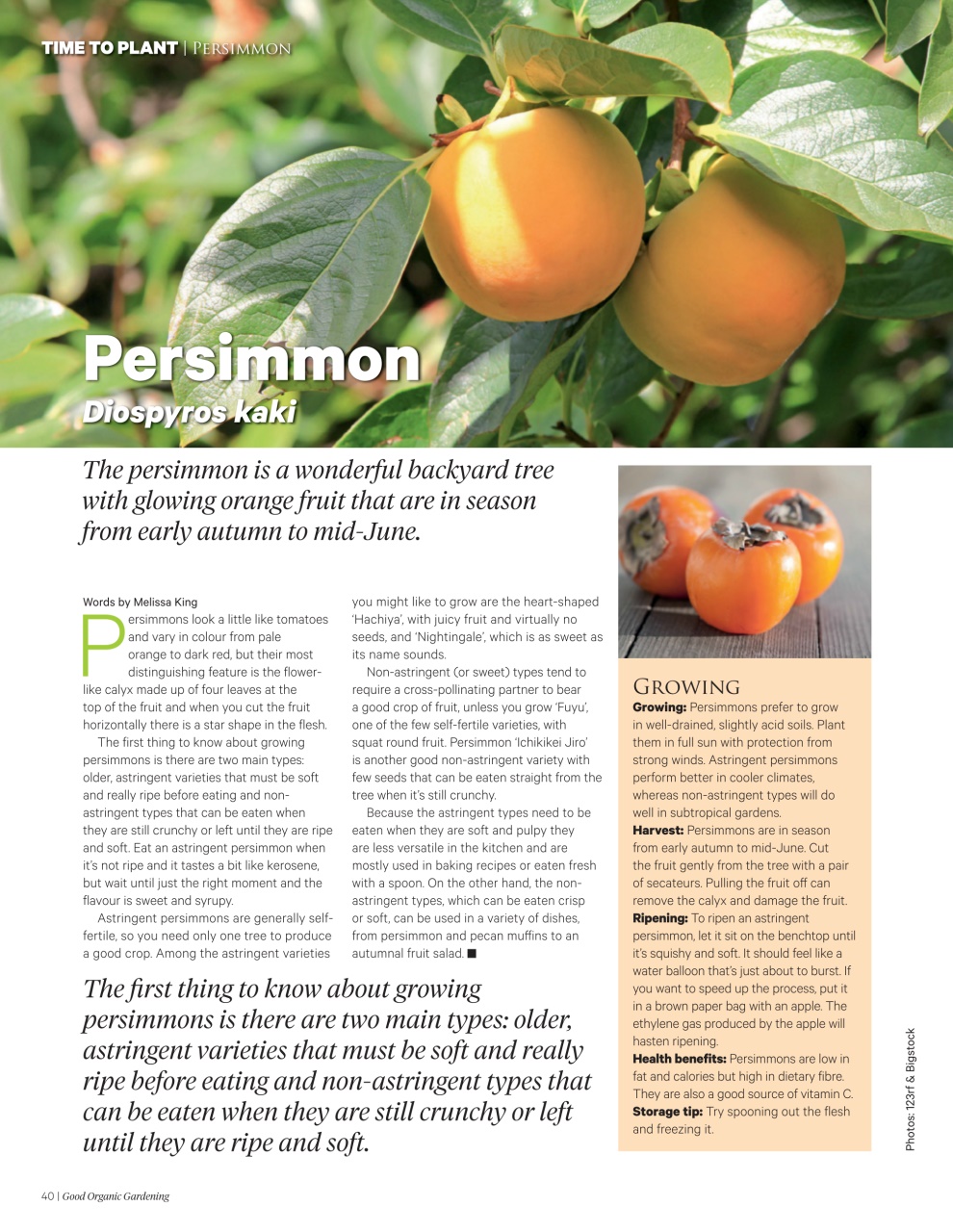 Good Organic Gardening Preview Pages