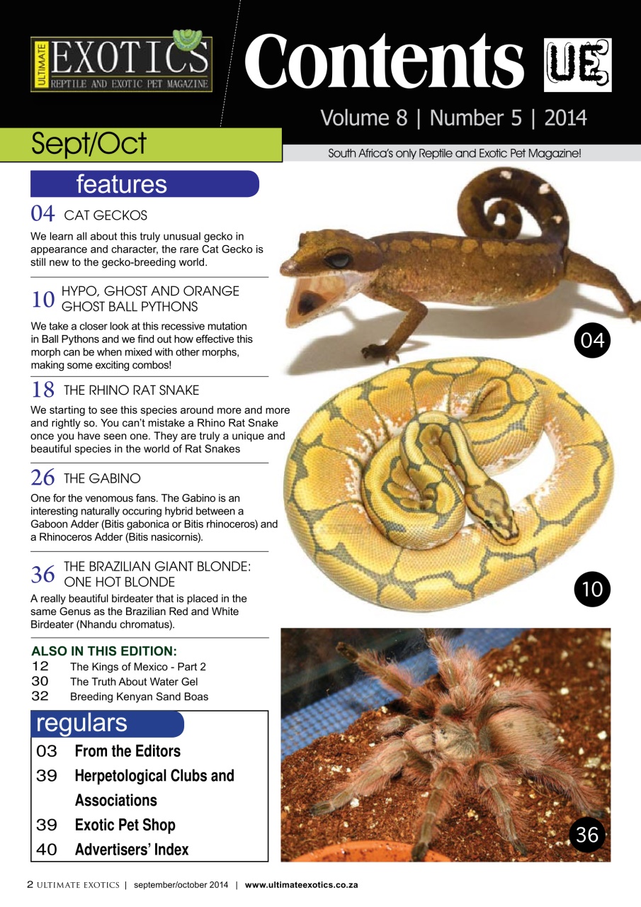 Ultimate Exotics Preview Pages