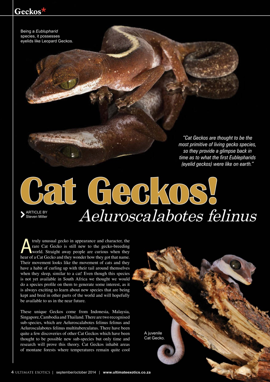 Ultimate Exotics Preview Pages