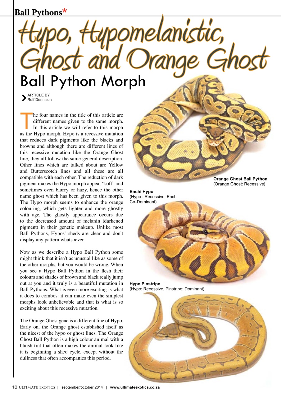 Ultimate Exotics Preview Pages