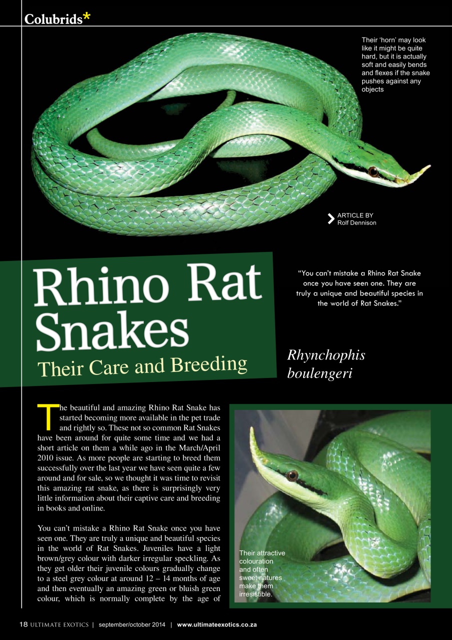 Ultimate Exotics Preview Pages