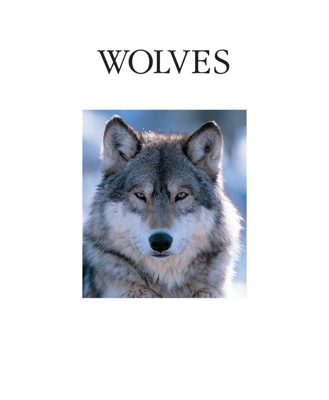 Wildlife Monographs Preview Pages
