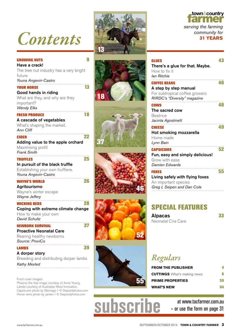 Town And Country Farmer Preview Pages