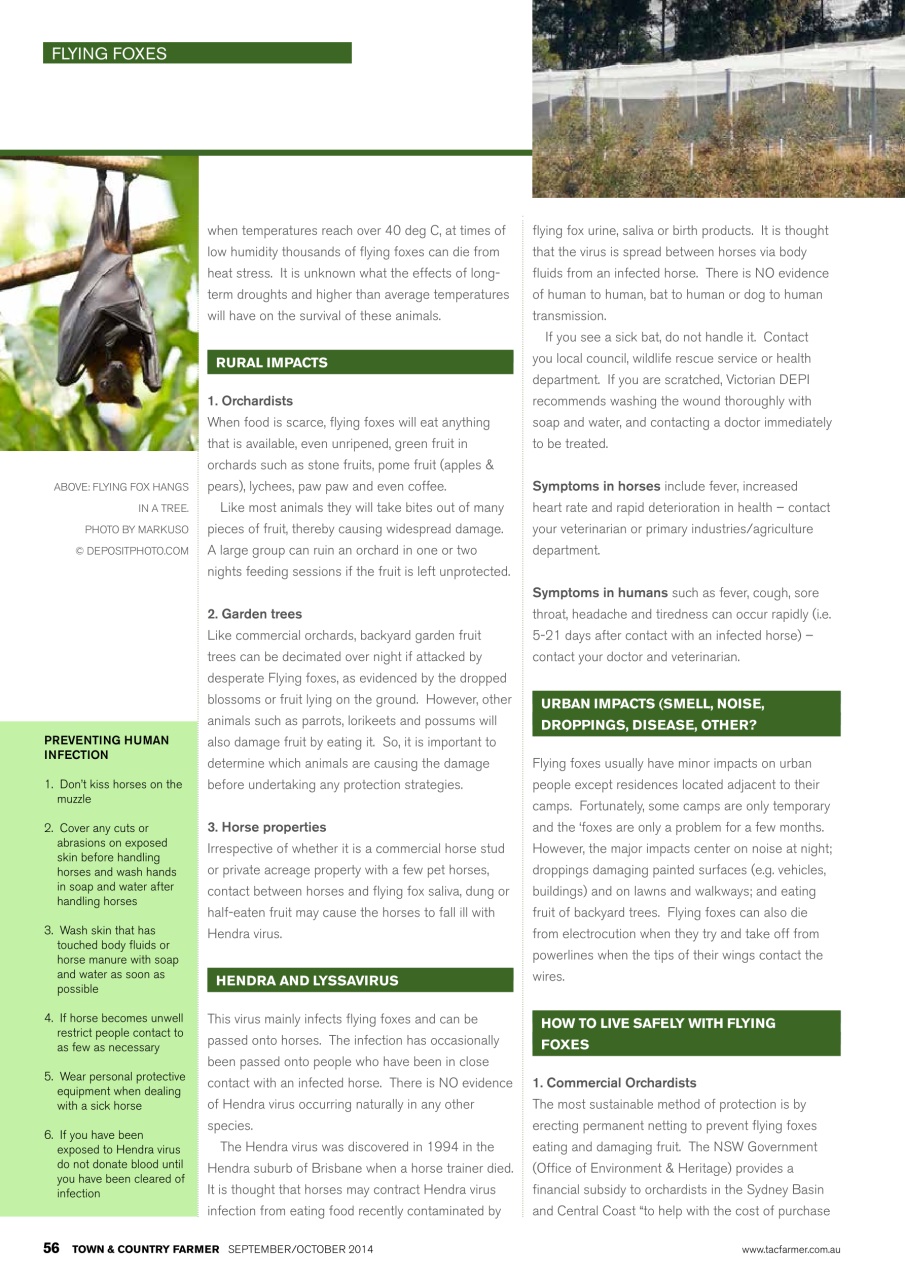 Town And Country Farmer Preview Pages