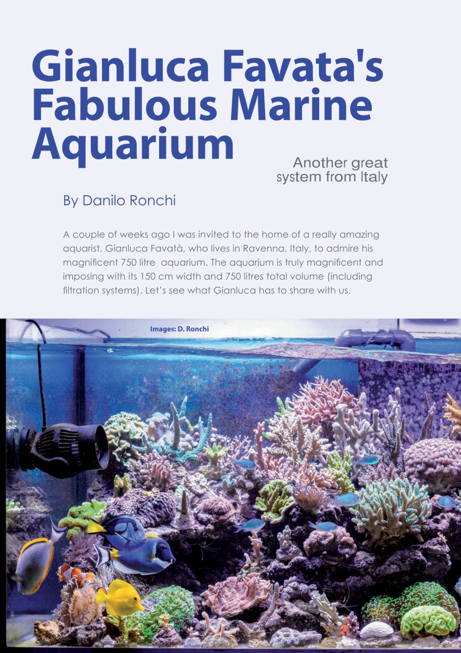 UltraMarine Magazine Preview Pages