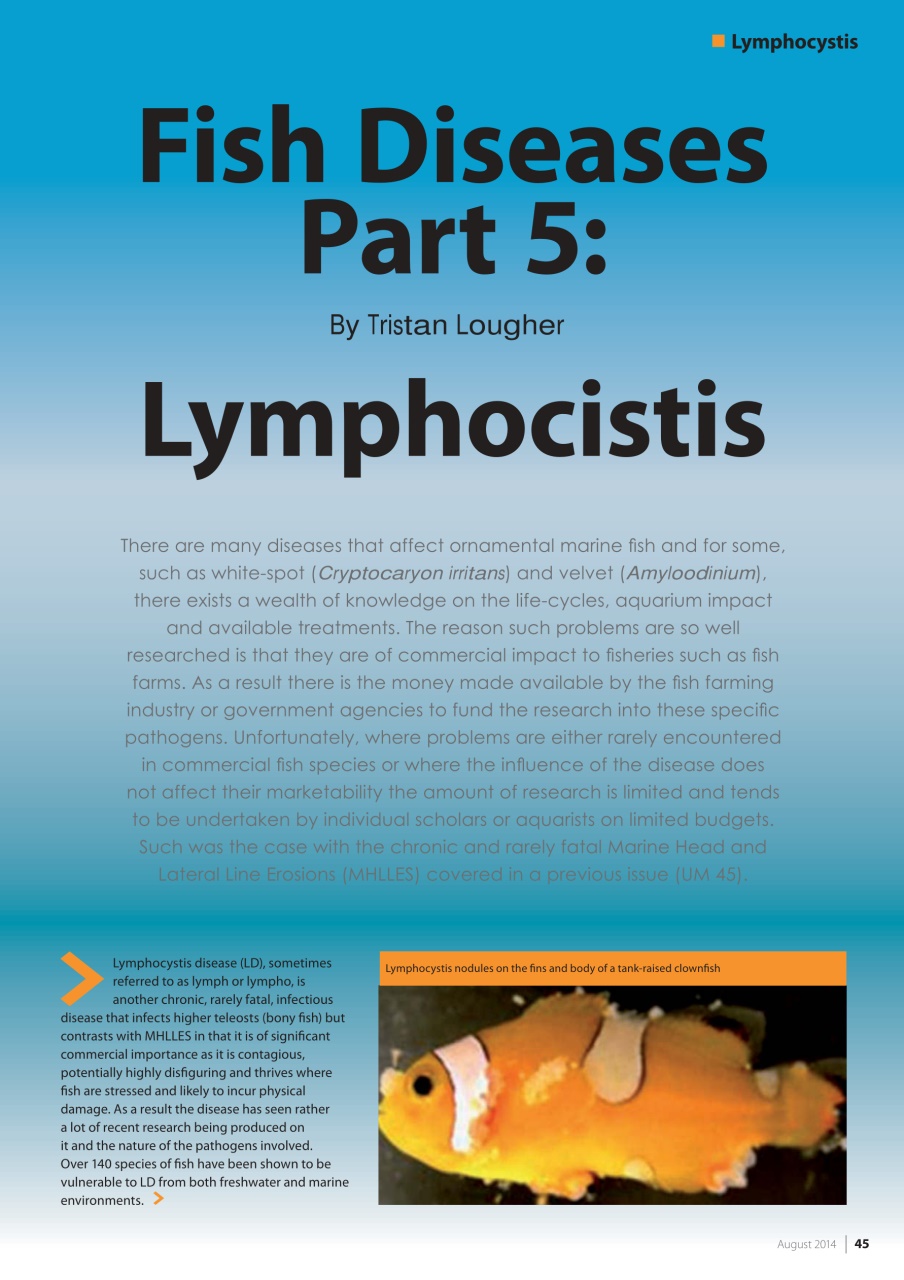 UltraMarine Magazine Preview Pages