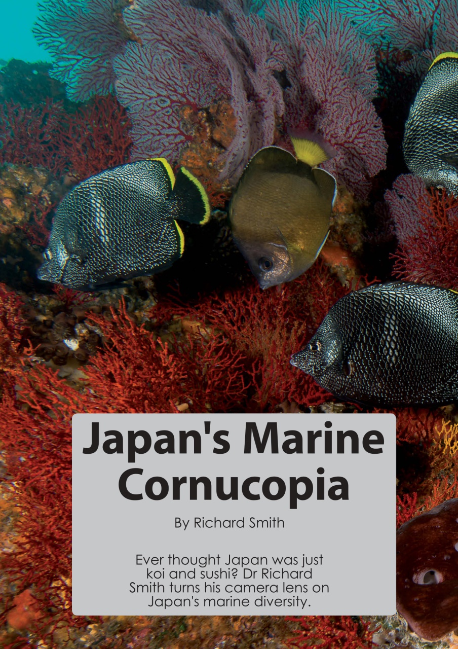 UltraMarine Magazine Preview Pages