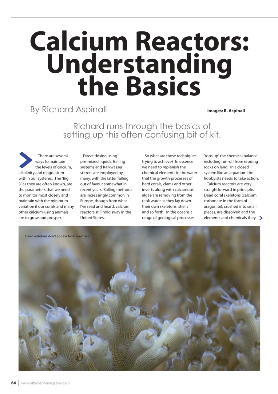 UltraMarine Magazine Preview Pages