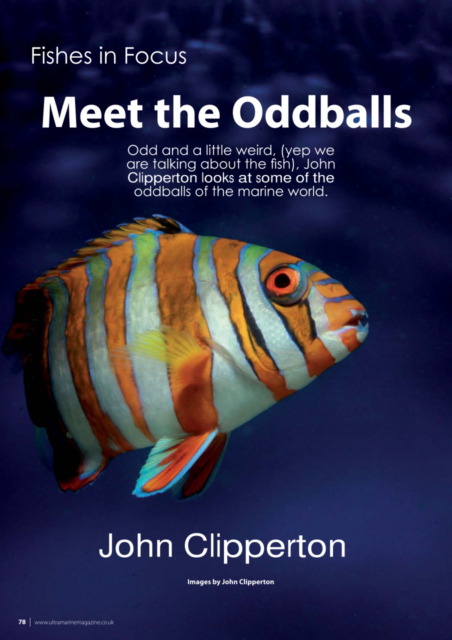 UltraMarine Magazine Preview Pages