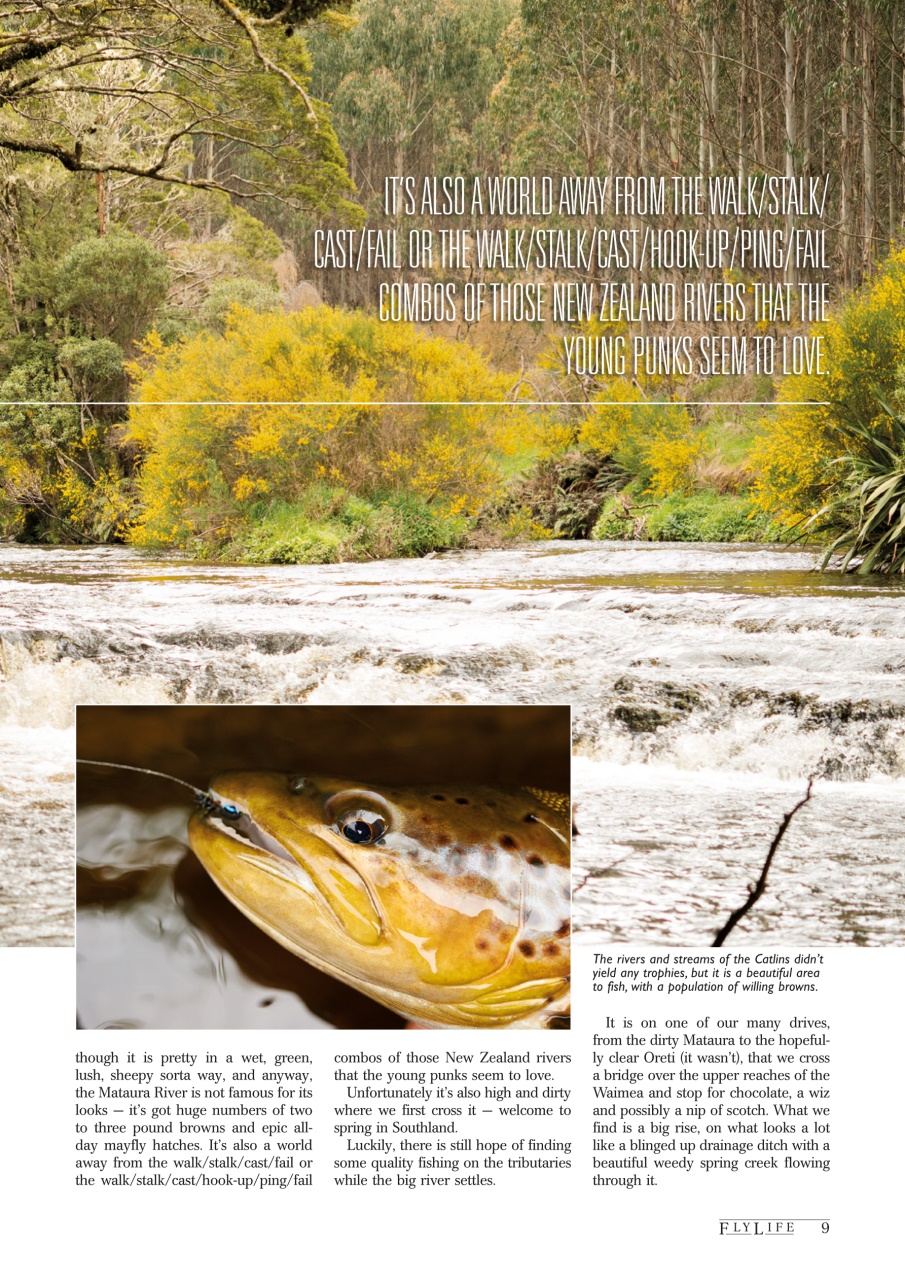 FlyLife Preview Pages