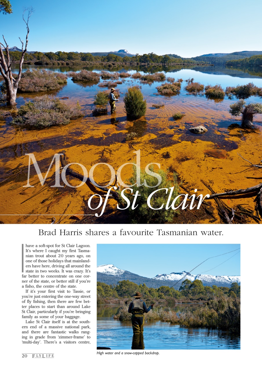 FlyLife Preview Pages