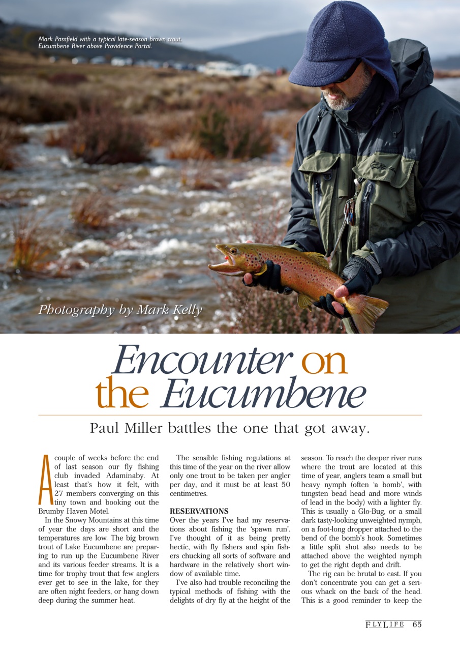 FlyLife Preview Pages