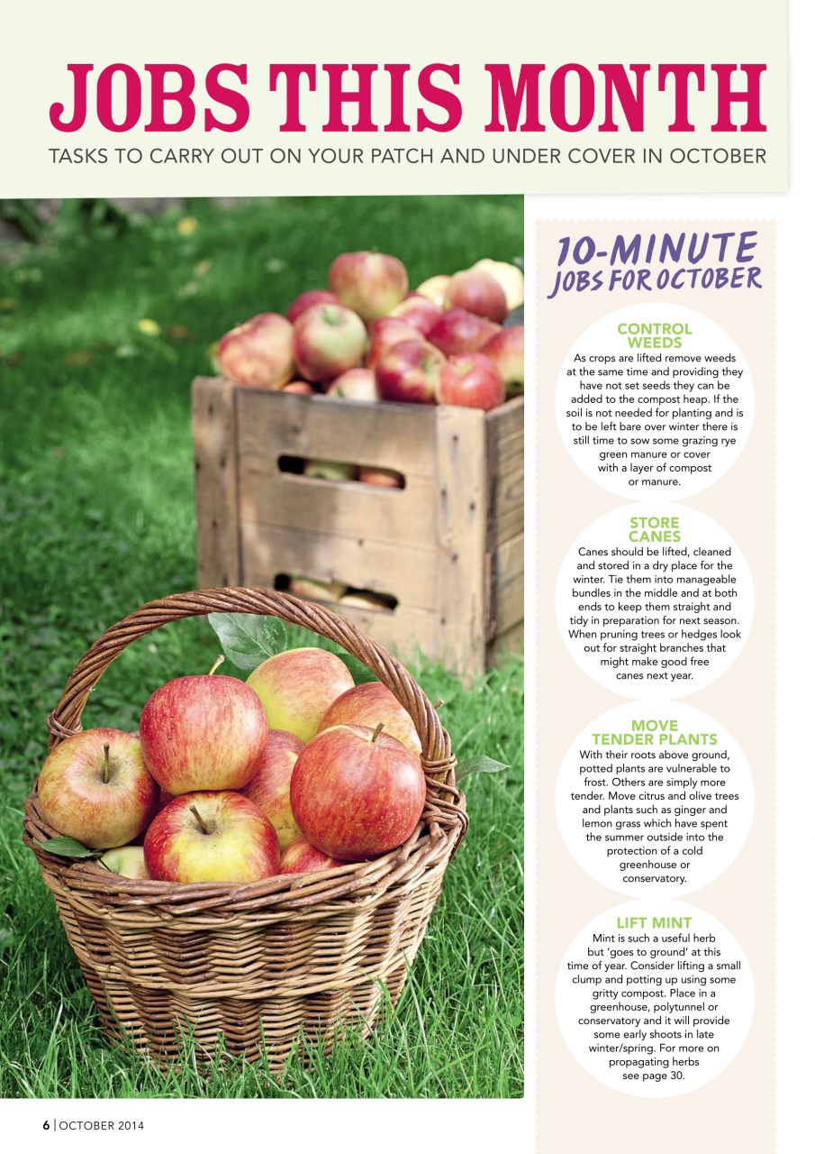 Kitchen Garden Magazine Preview Pages