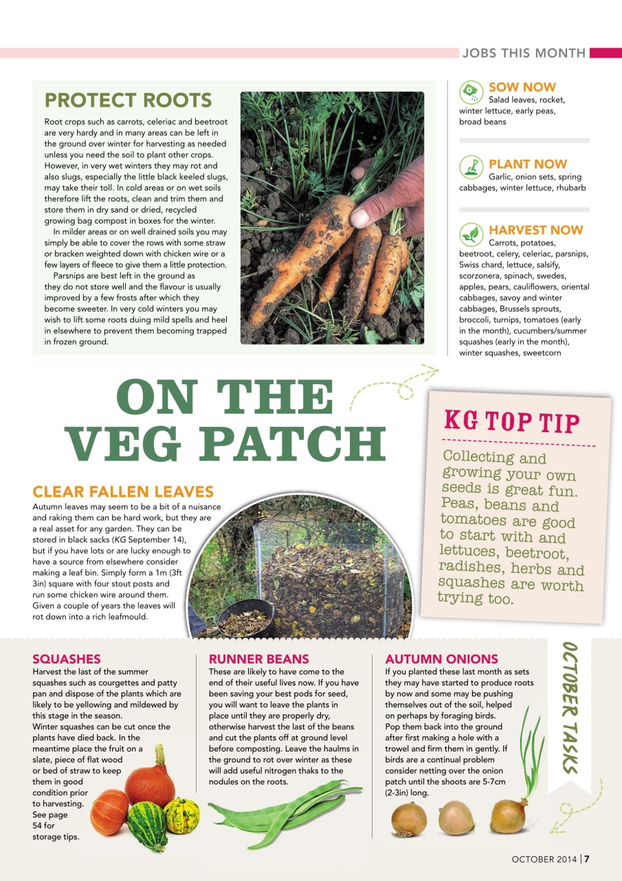 Kitchen Garden Magazine Preview Pages