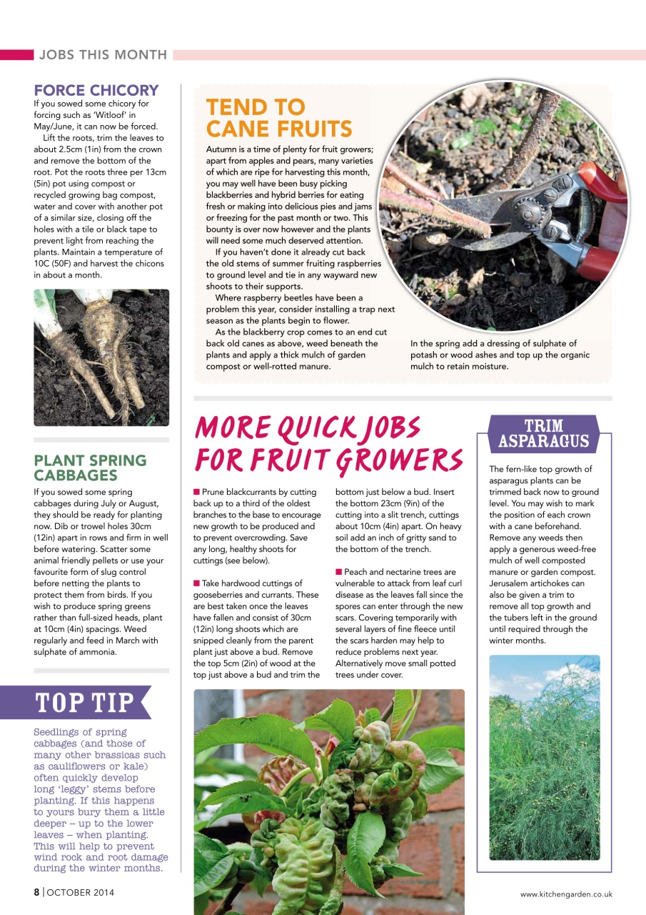 Kitchen Garden Magazine Preview Pages
