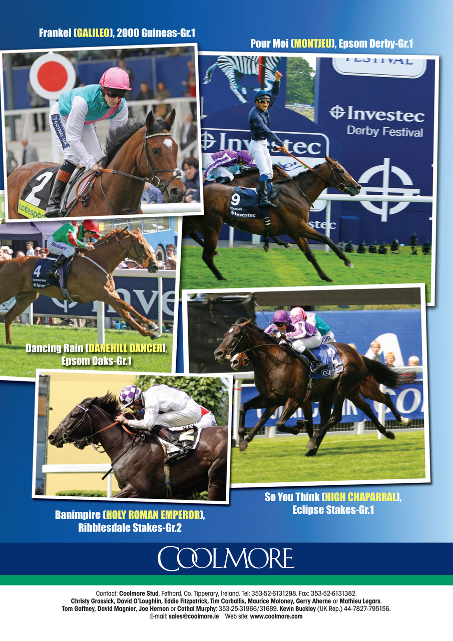 The Owner Breeder Preview Pages