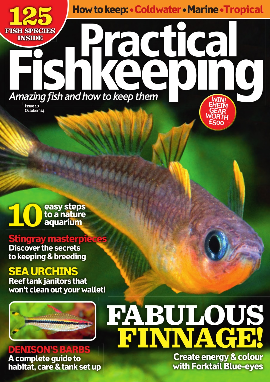 Practical Fishkeeping Preview Pages