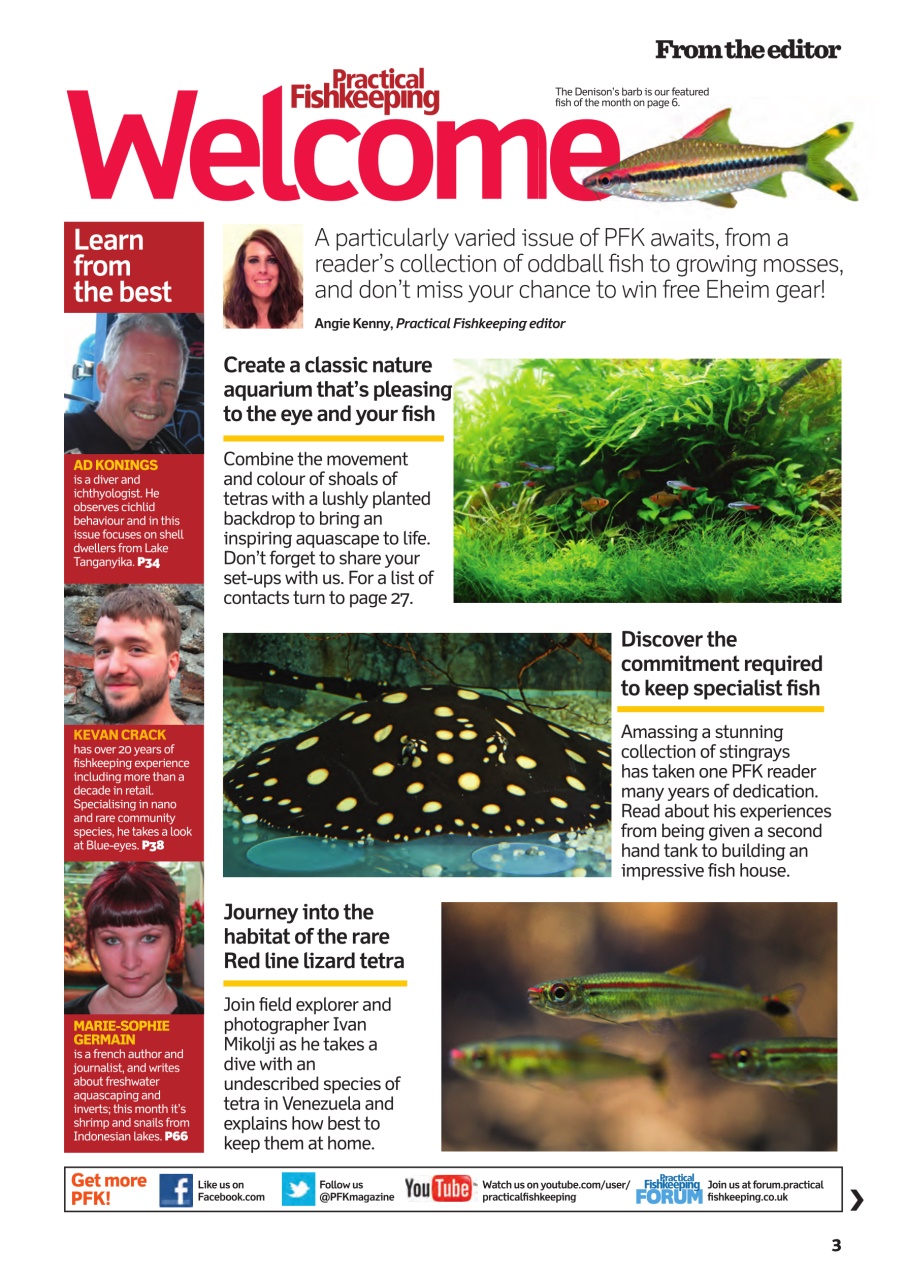 Practical Fishkeeping Preview Pages