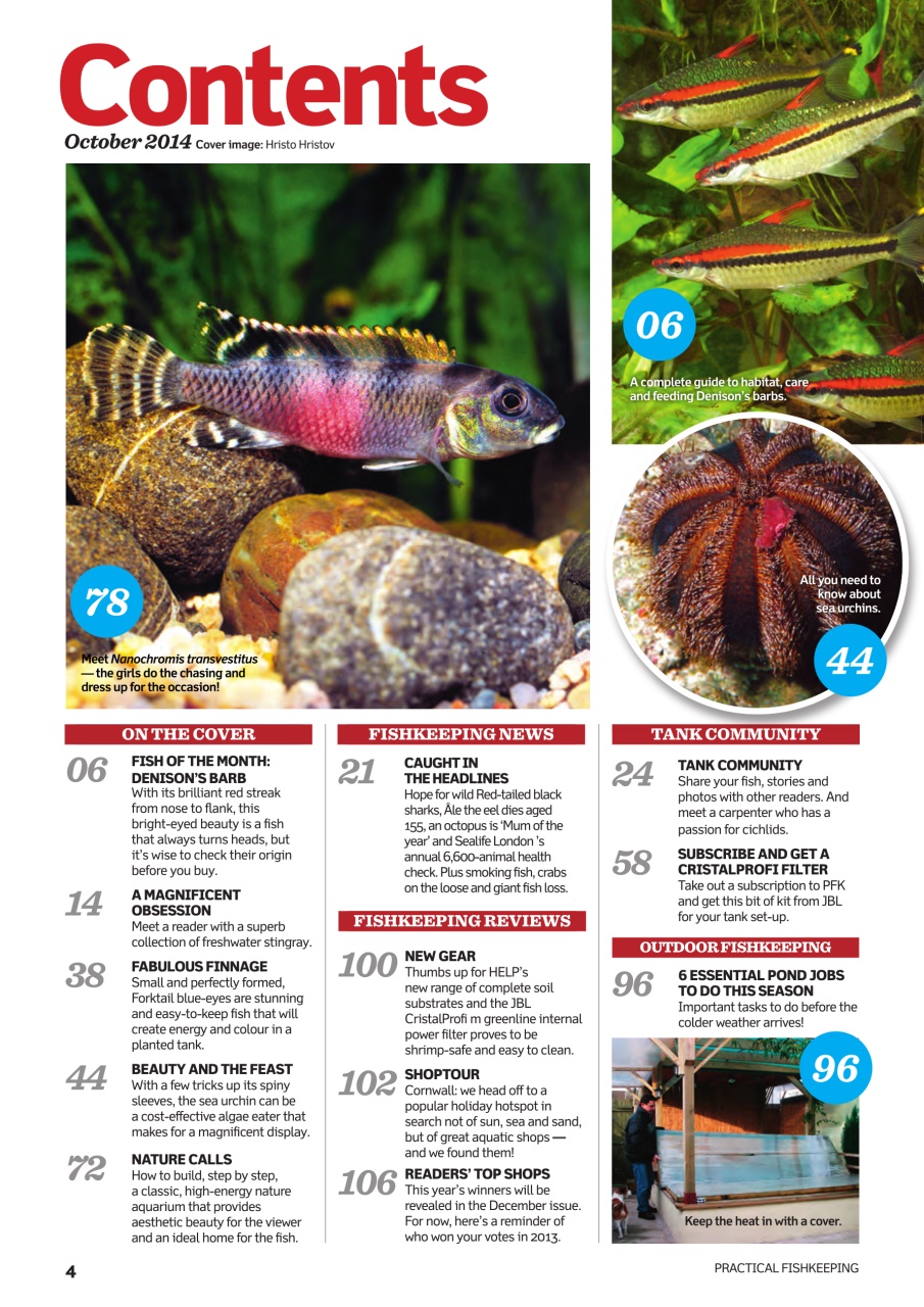 Practical Fishkeeping Preview Pages