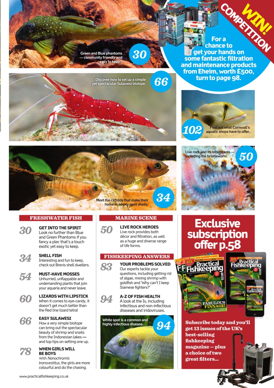 Practical Fishkeeping Preview Pages